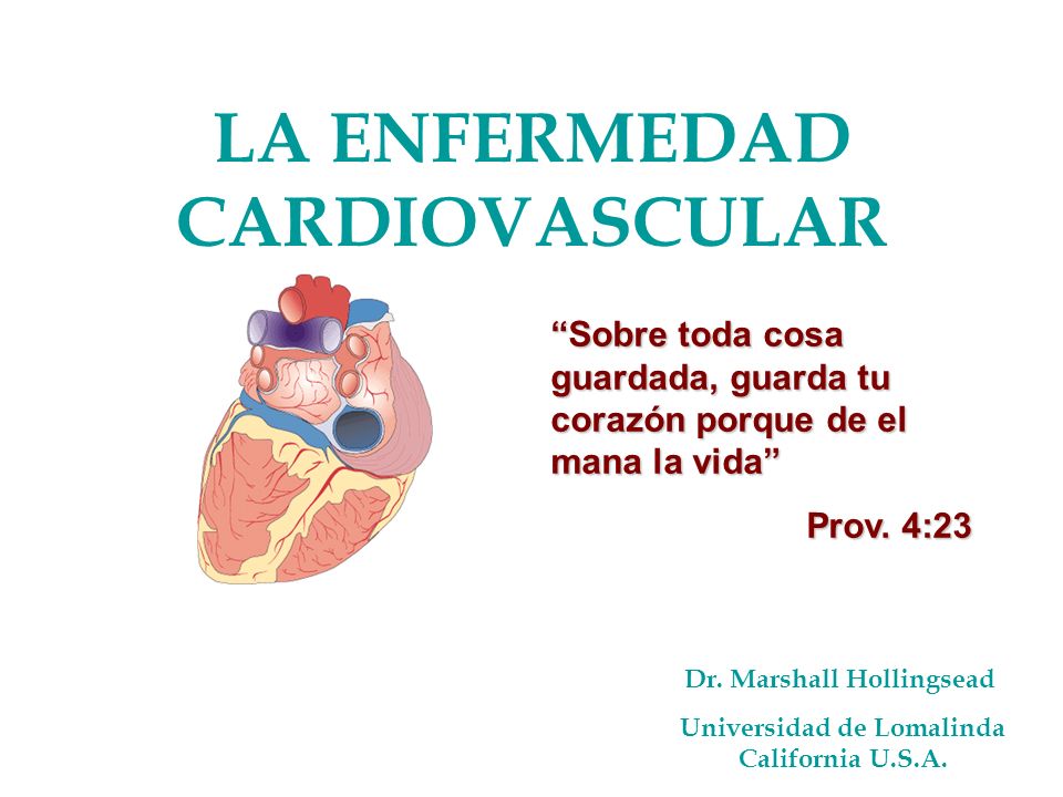 presentaciones de powerpoint sobre diabetes y enfermedades del corazón presentaciones de powerpoint sobre diabetes y enfermedades del corazón